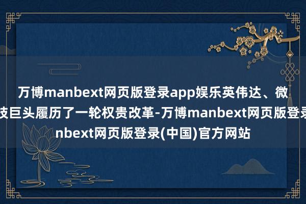 万博manbext网页版登录app娱乐英伟达、微软等好意思股科技巨头履历了一轮权贵改革-万博manbext网页版登录(中国)官方网站