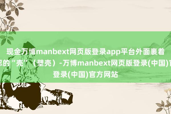 现金万博manbext网页版登录app平台外面裹着一层坚忍的“壳”（壁壳）-万博manbext网页版登录(中国)官方网站
