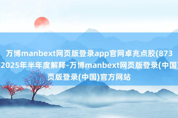 万博manbext网页版登录app官网卓兆点胶(873726)发布2025年半年度解释-万博manbext网页版登录(中国)官方网站