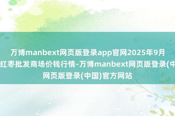 万博manbext网页版登录app官网2025年9月5日中国沧州红枣批发商场价钱行情-万博manbext网页版登录(中国)官方网站